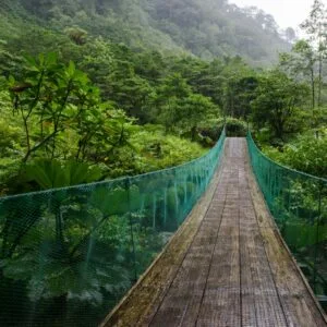 brown wooden bridge over green mountains during daytime