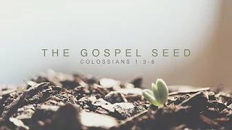 The Gospel Seed