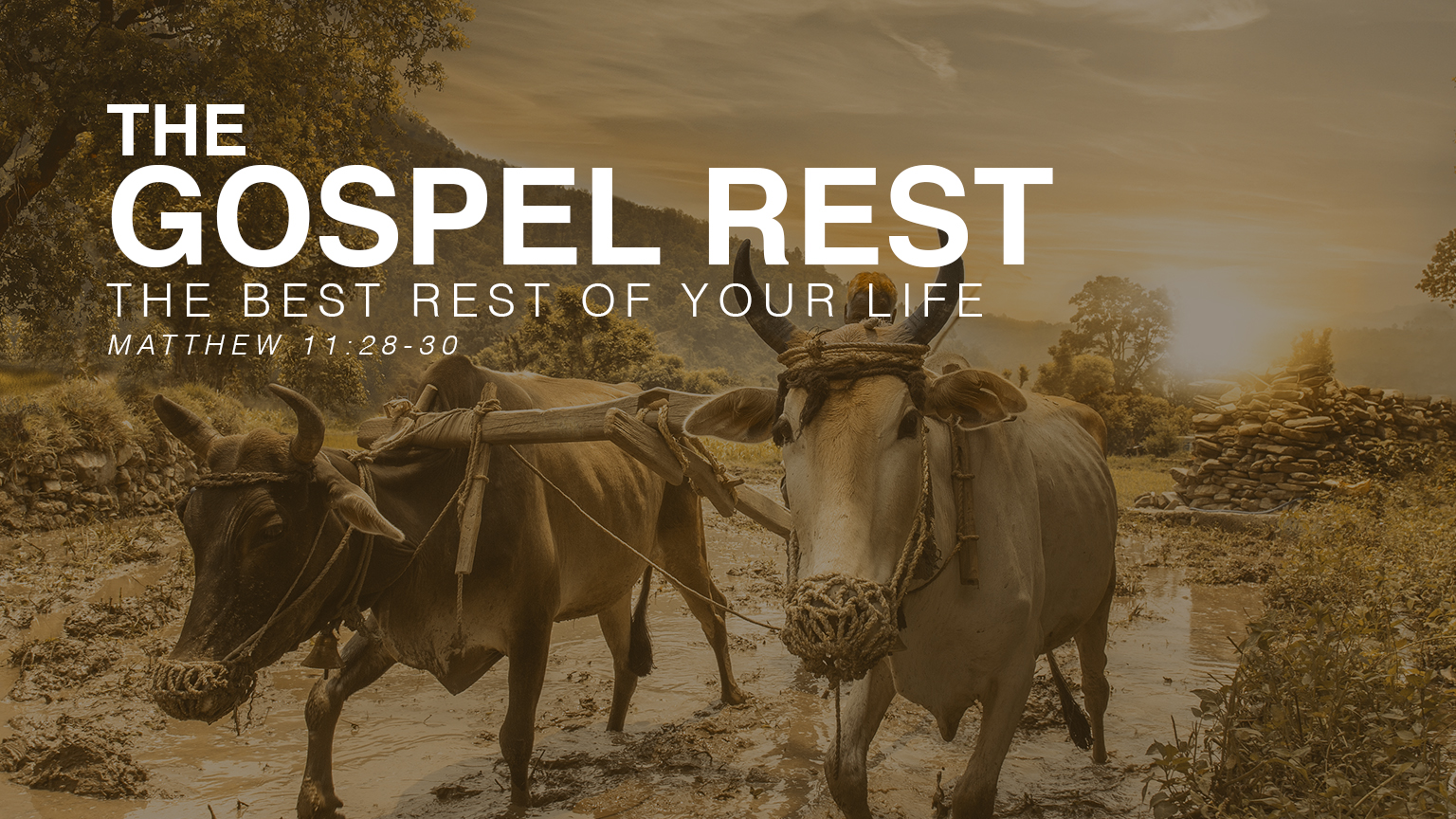 The Gospel Rest